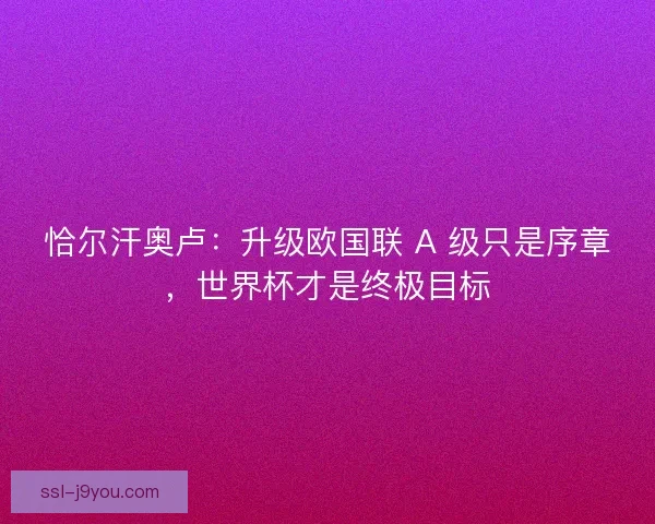 恰尔汗奥卢：升级欧国联 A 级只是序章，世界杯才是终极目标
