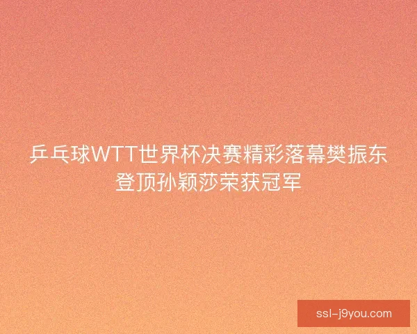 乒乓球WTT世界杯决赛精彩落幕樊振东登顶孙颖莎荣获冠军