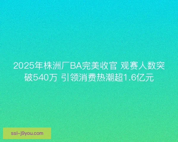 2025年株洲厂BA完美收官 观赛人数突破540万 引领消费热潮超1.6亿元