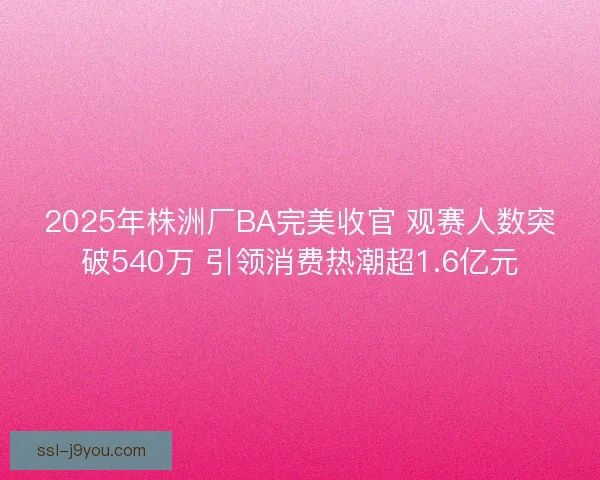 2025年株洲厂BA完美收官 观赛人数突破540万 引领消费热潮超1.6亿元